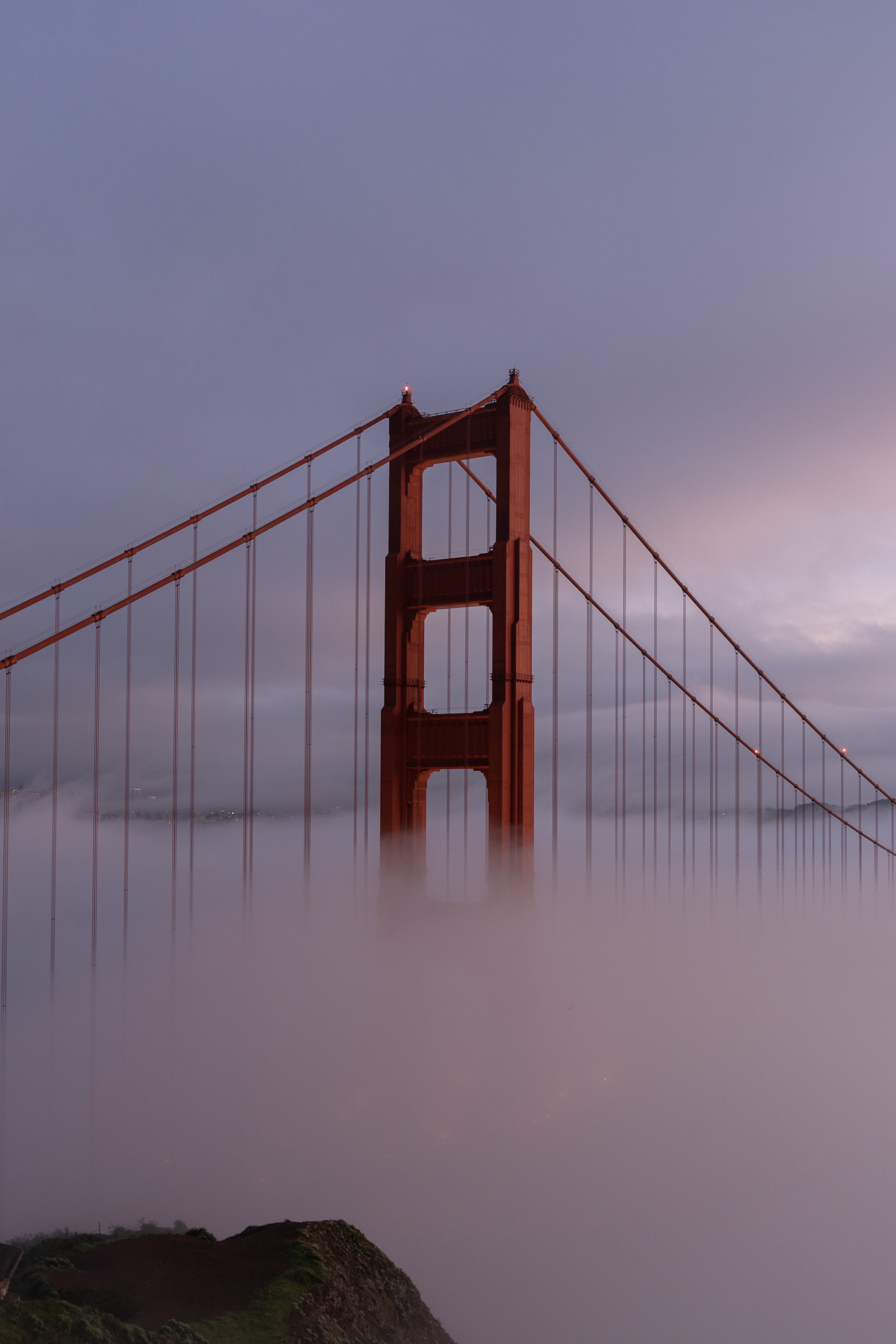 The Golden Gate Bridge rising through pink morning fog