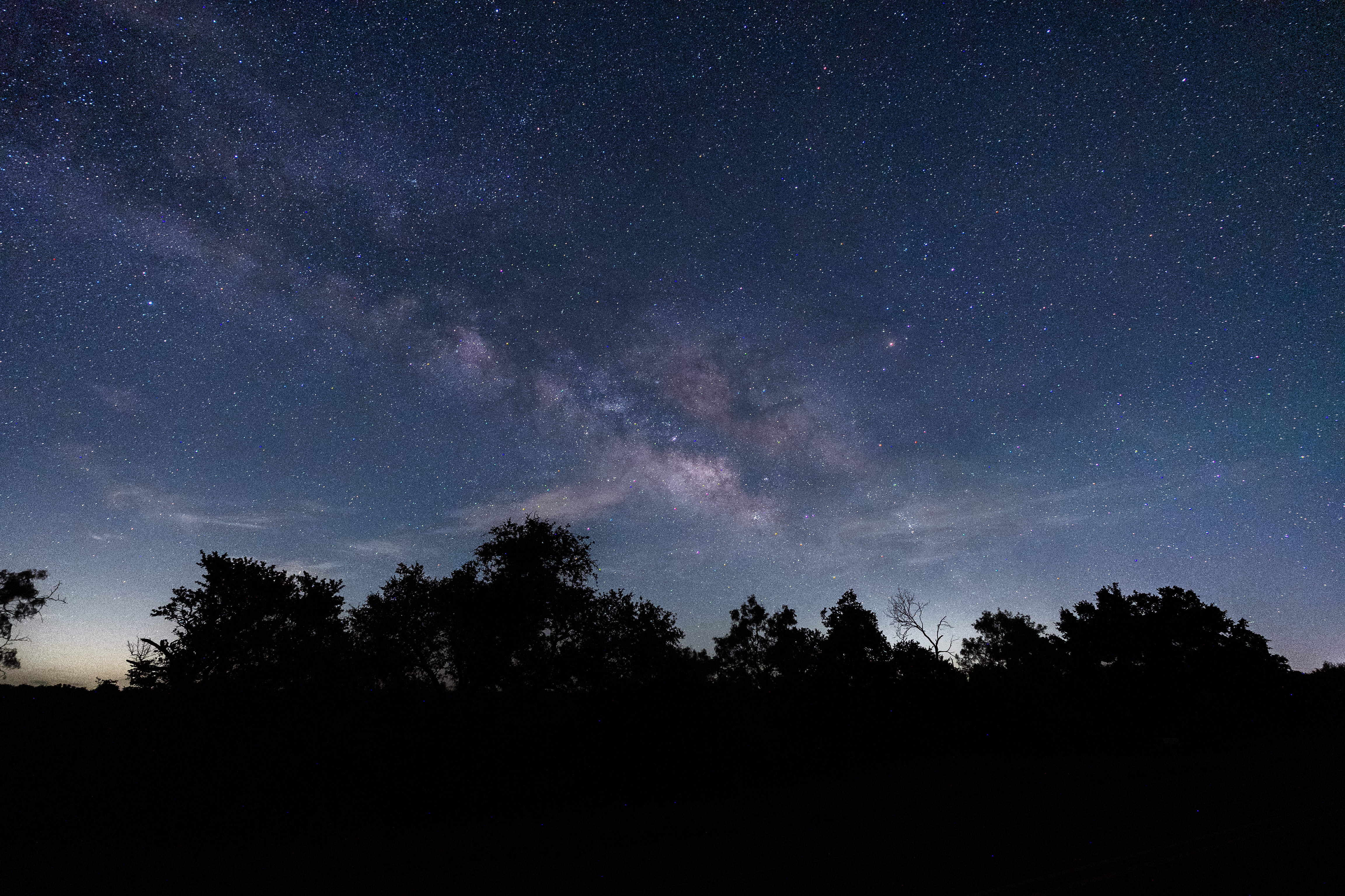 The Milky Way stretching above a dark line of trees